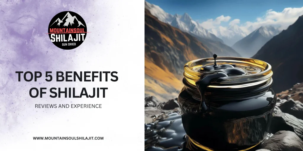 shilajit benefits